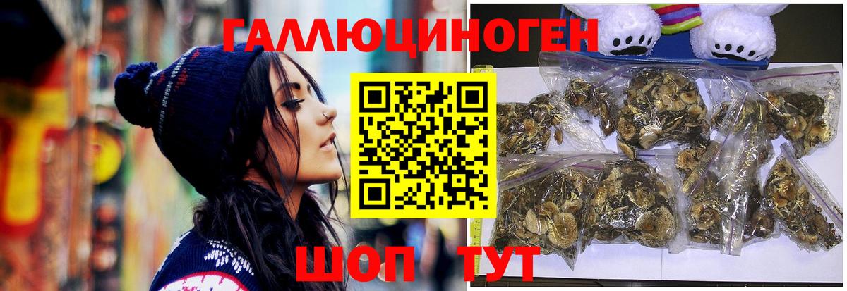 Краснокаменск  Галлюциногенные грибы прущие грибы  Вход с VPN 