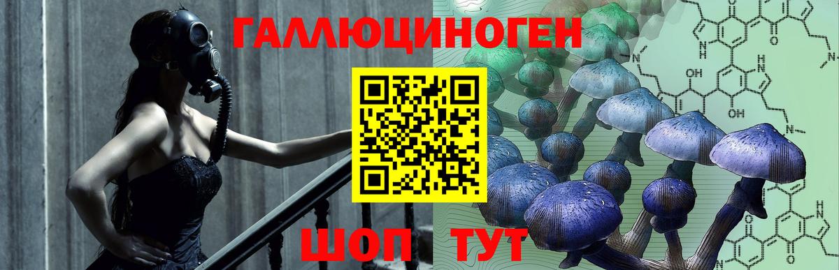 Галлюциногенные грибы Cubensis Краснокаменск
