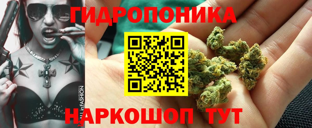 Краснокаменск  Бошки Шишки LSD WEED  Канабис индика  Бошки Шишки планчик  Вход с VPN 
